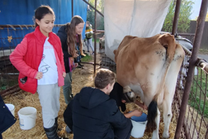 ilustrační obrázek